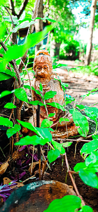 HD-wallpaper-jay-hanuman-dark-eyes-on-you-god-jay-shree-ram-leaves-nature-wild-thumbnail.jpg